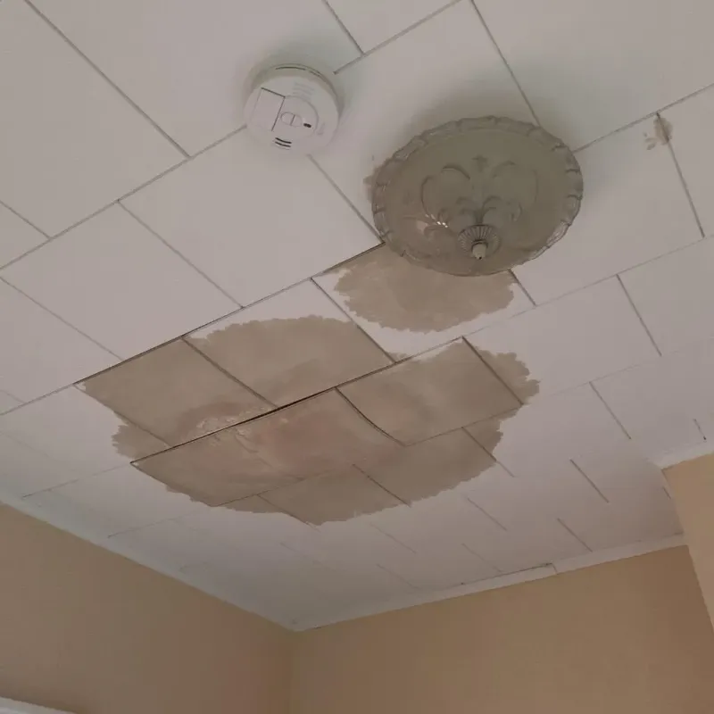 Ceiling Water Damage Repair in Rand, WV