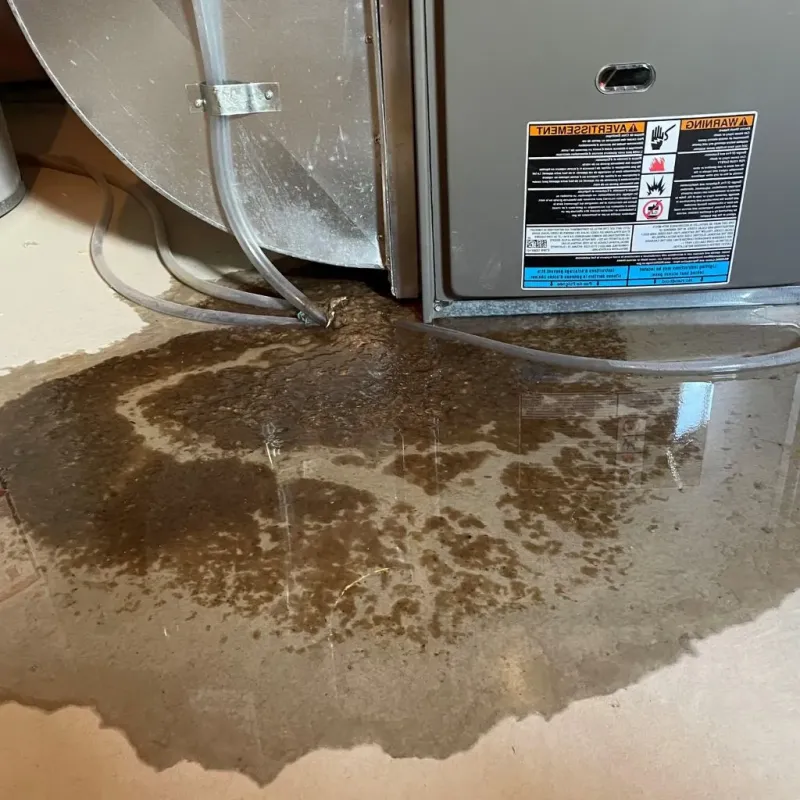 Pipe Burst and Leak Restoration in Rand, WV