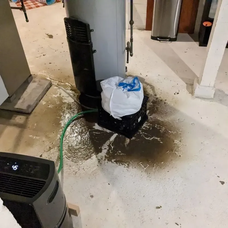 Sewage Backup Cleanup Service in Rand, WV